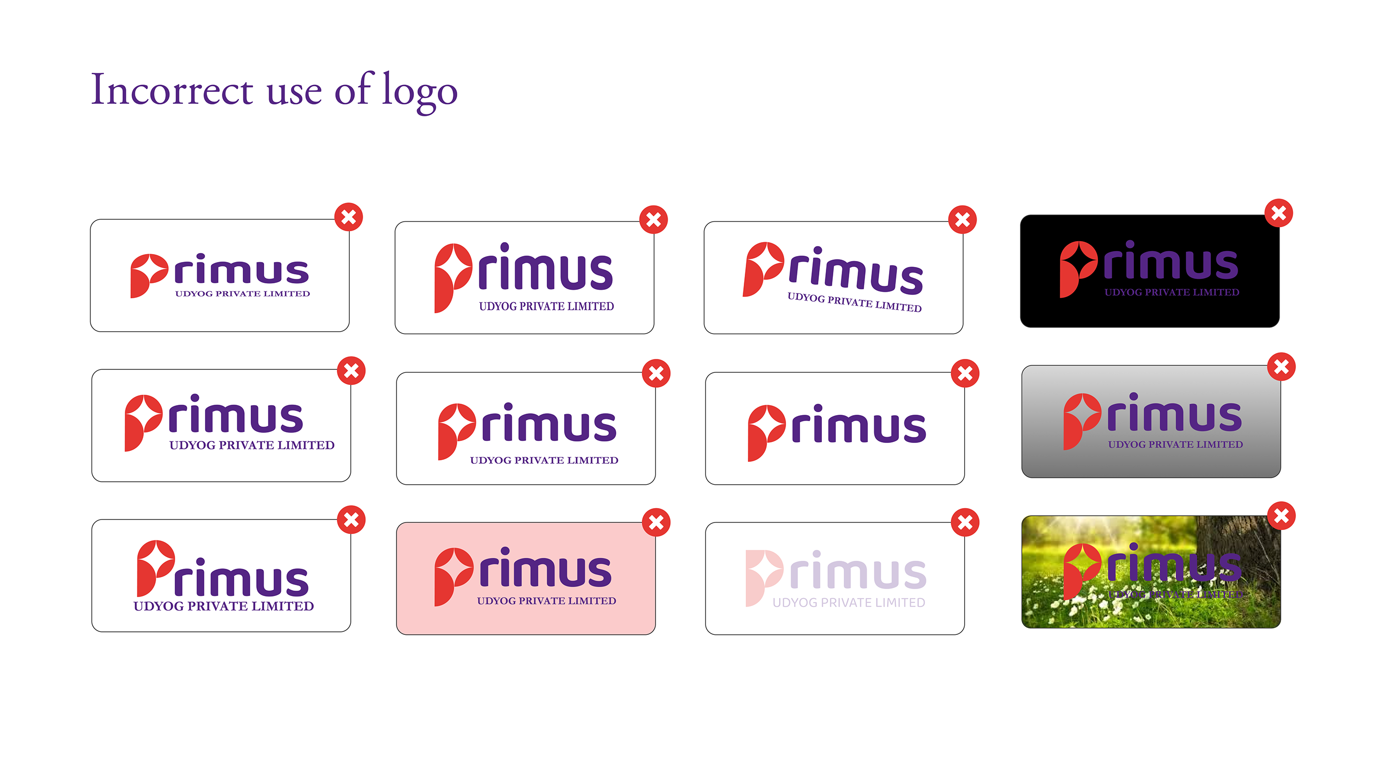 BRAND GUIDELINE - PRIMUS UDYOG PVT LTD