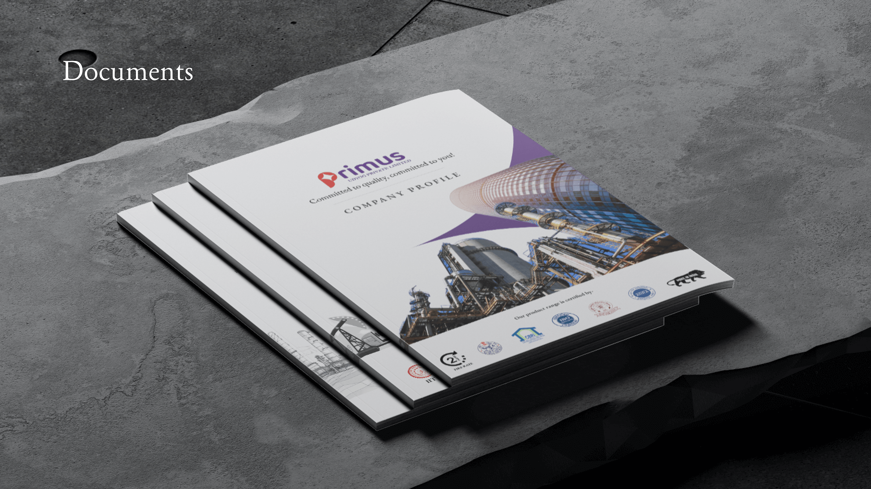 BRAND GUIDELINE - PRIMUS UDYOG PVT LTD
