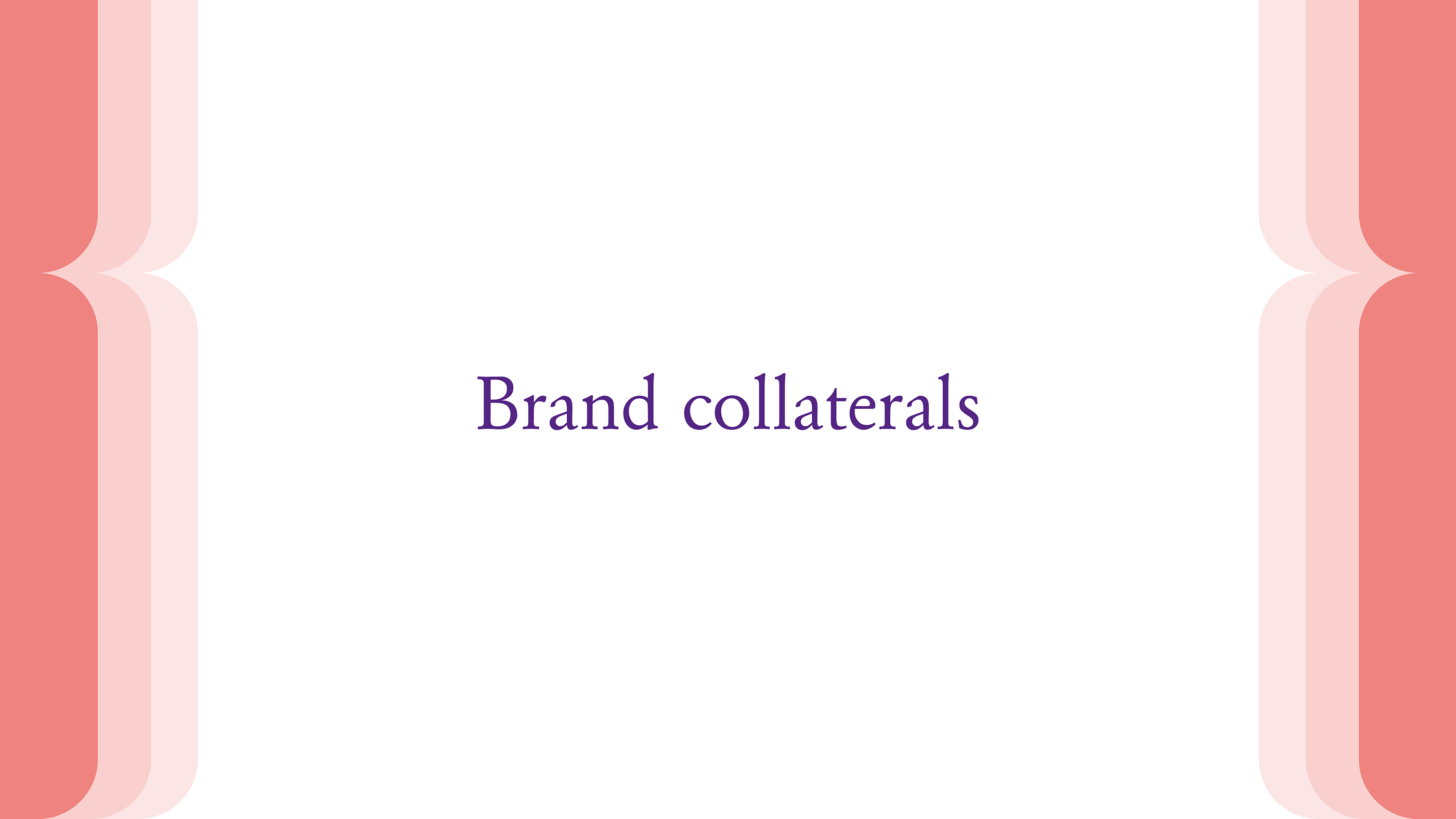 BRAND GUIDELINE - PRIMUS UDYOG PVT LTD