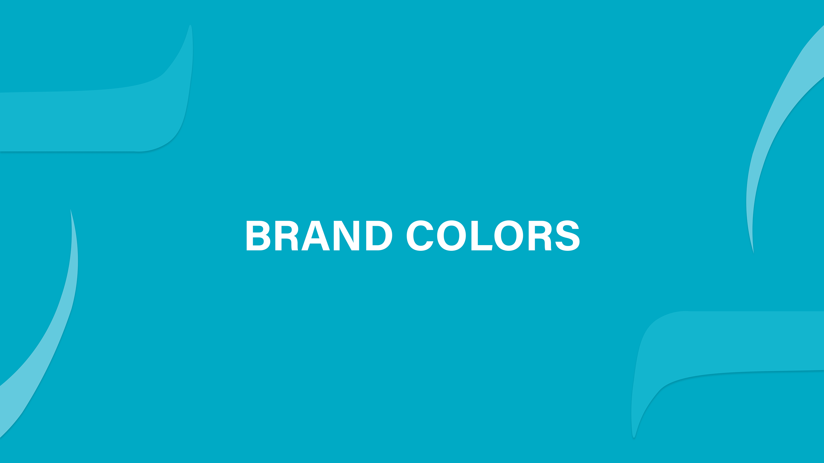 Brand Guideline - CLUIX