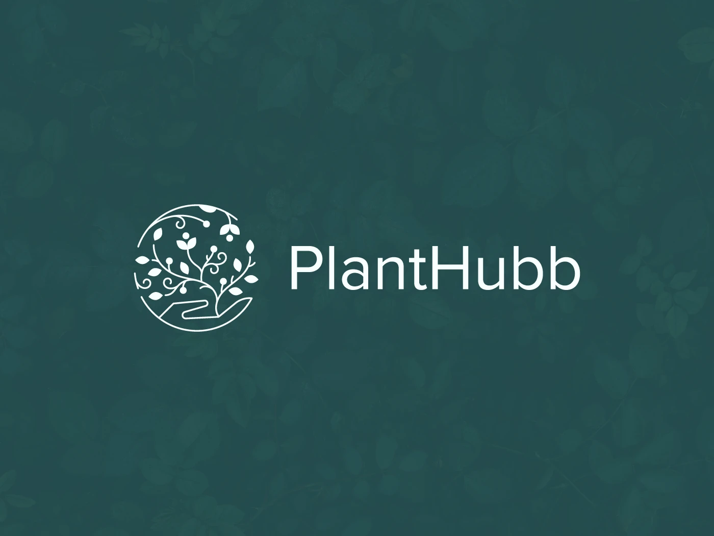PlantHubb Logo Design & Branding