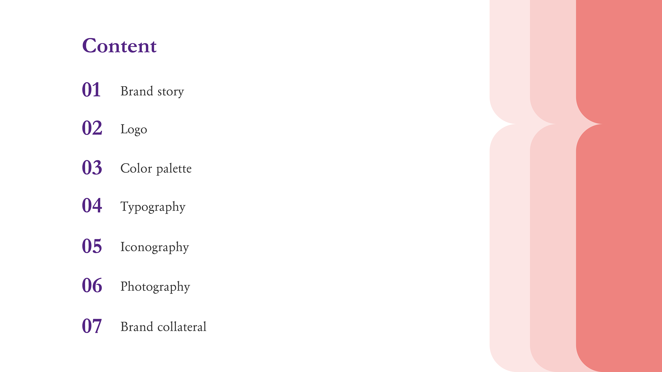 BRAND GUIDELINE - PRIMUS UDYOG PVT LTD