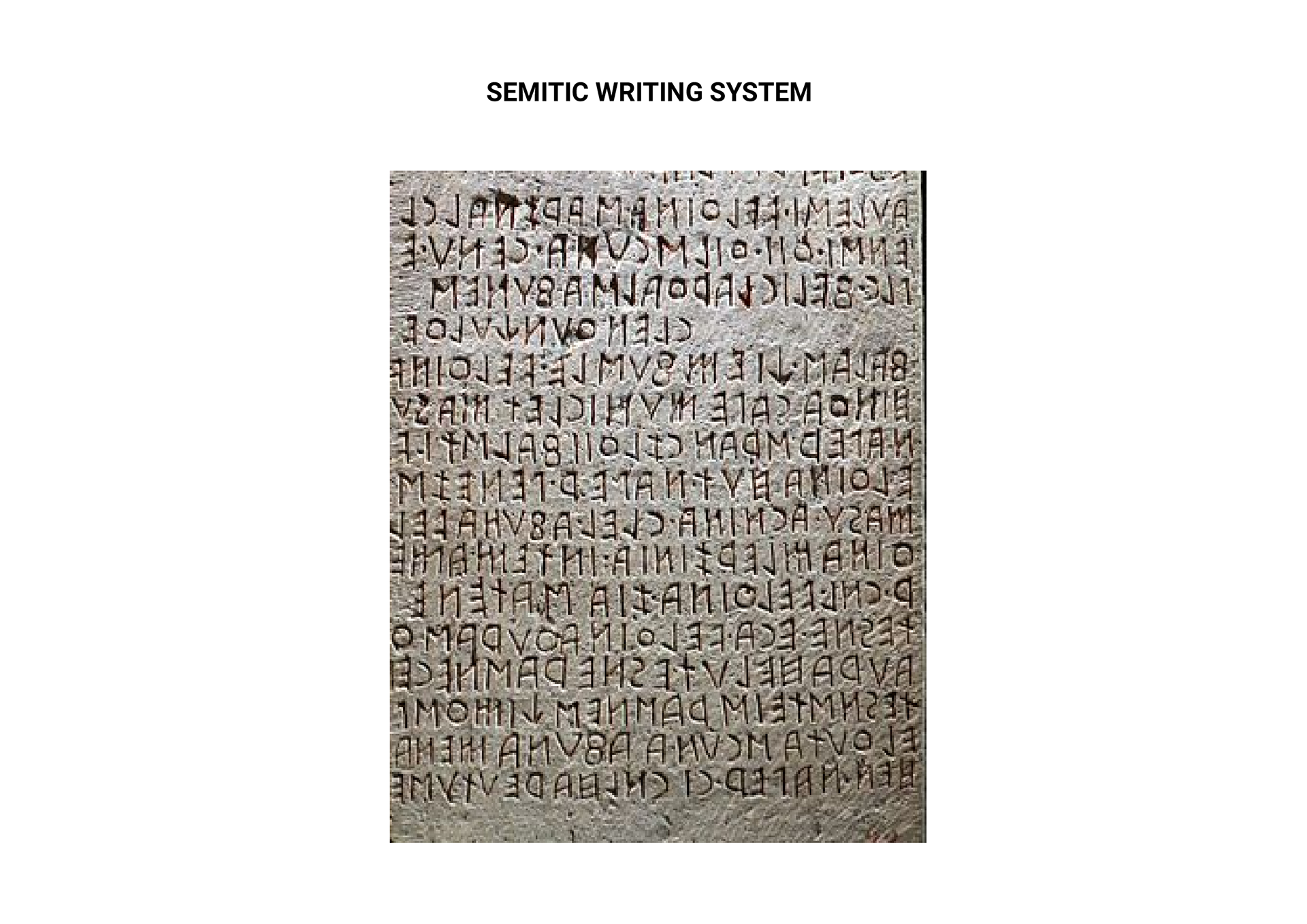 SERMOCRYPTIC LETTERS - DIKSHA SUMMY