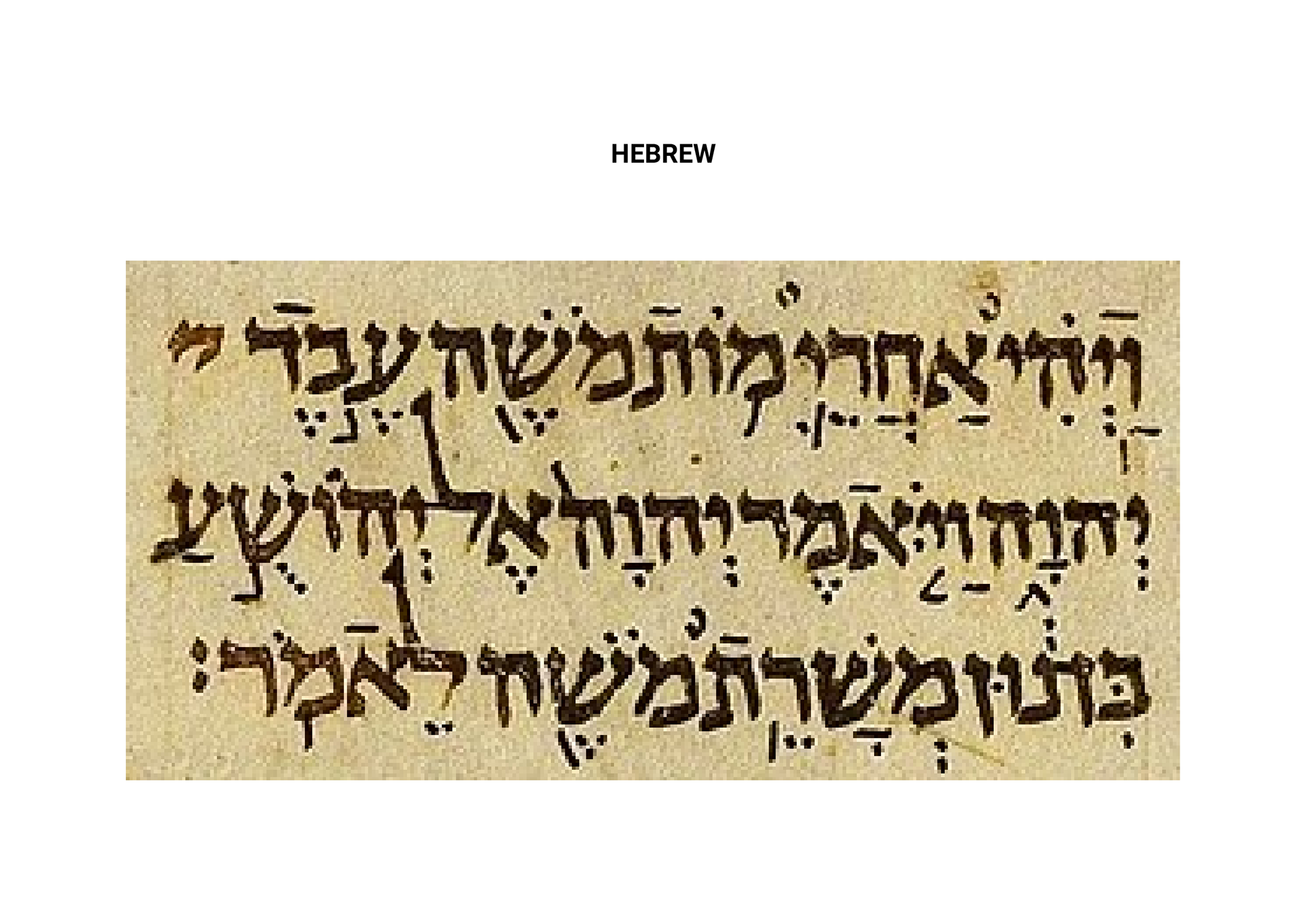 SERMOCRYPTIC LETTERS - DIKSHA SUMMY