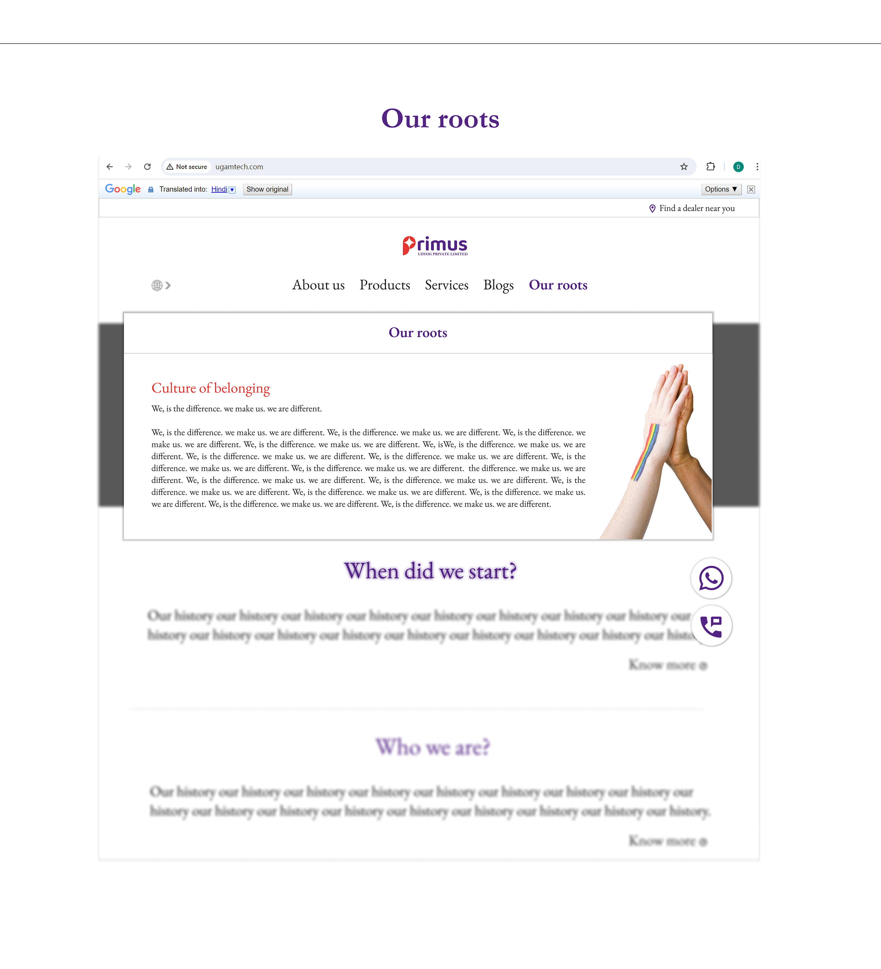 BRAND GUIDELINE - PRIMUS UDYOG PVT LTD