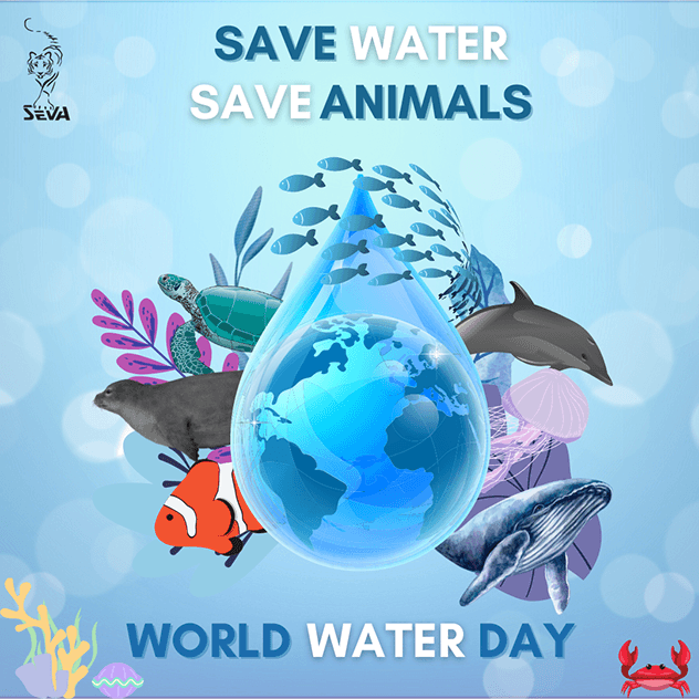 SEVA Charitable Trust