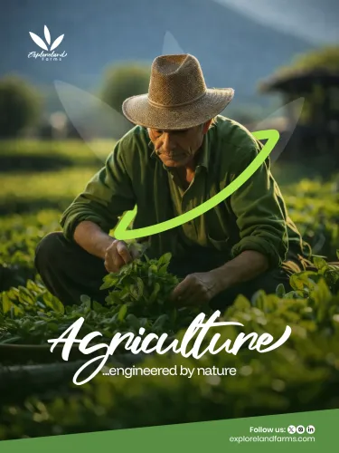 Social Media Flyer for Exploreland Farms