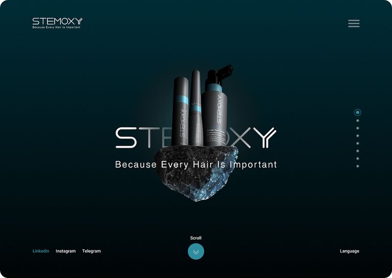 Stemoxy by Pardis on Dribbble