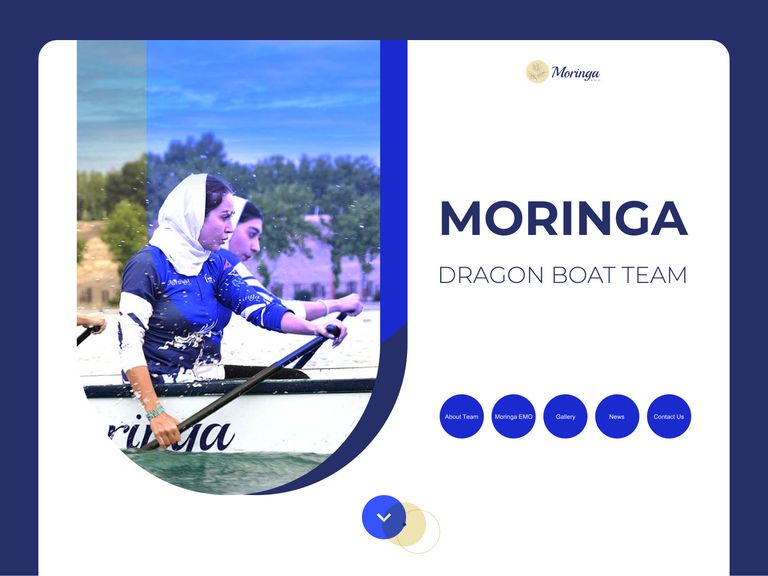 Moringa by Pardis on Dribbble