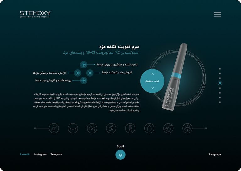 Stemoxy by Pardis on Dribbble gallery 2