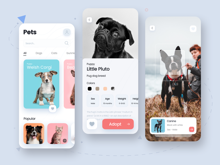 Pets App by Tribhuvan Suthar for overlayz ™ on Dri